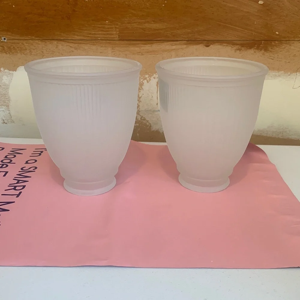 Westinghouse Frosted Pleated Glass Light Shades - Set of 2